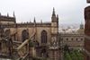 tower view
