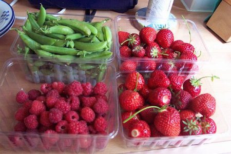 yum, picked fruit