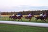 races