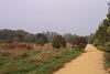bikepath